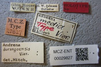 Media type: image;   Entomology 29827 Aspect: labels